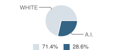 Green Point Elementary School Student Race Distribution