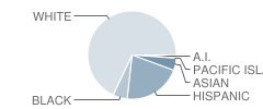 Valhalla High School Student Race Distribution