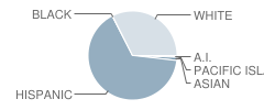 Gustine High School Student Race Distribution