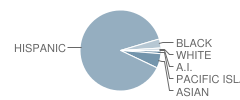 Grandview Elementary School Student Race Distribution