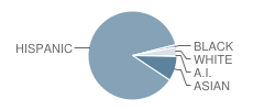 Valinda School of Academics Student Race Distribution