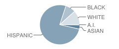 Roosevelt Elementary School Student Race Distribution