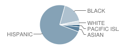 Washington School Student Race Distribution