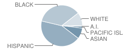 Fairview Elementary School Student Race Distribution