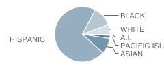 Winton Middle School Student Race Distribution