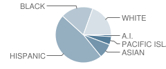 Hayward Project School Student Race Distribution