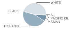 Joseph R. Perry Elementary School Student Race Distribution