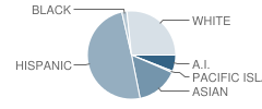 Ocean View High School Student Race Distribution