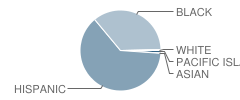 Morningside High School Student Race Distribution