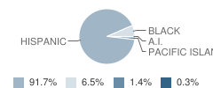 Worthington Elementary School Student Race Distribution