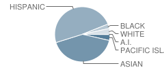 Susan B. Anthony Elementary School Student Race Distribution