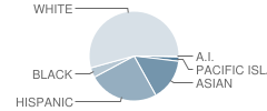 Terra Nova High School Student Race Distribution