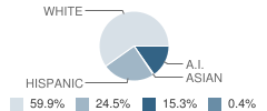 Julian Elementary School Student Race Distribution