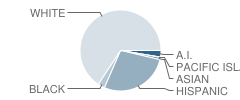 North High School Student Race Distribution