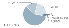 West High School Student Race Distribution