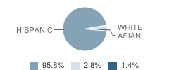 Jefferson Elementary School Student Race Distribution