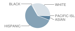 Riverview Elementary School Student Race Distribution