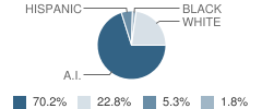 Orleans Elementary School Student Race Distribution