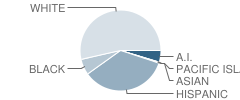 Pomo Elementary School Student Race Distribution