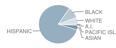 Kempton Street Elementary School Student Race Distribution