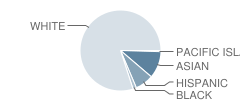 Springhill Elementary School Student Race Distribution