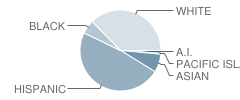 Lakeside Elementary School Student Race Distribution