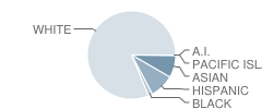 Lindero Canyon Middle School Student Race Distribution