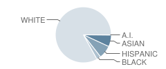 Round Meadow Elementary School Student Race Distribution