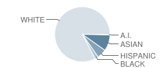 Willow Elementary School Student Race Distribution