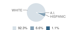 Miller's Hill Elementary School Student Race Distribution