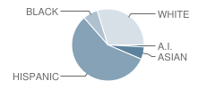 P. W. Engvall Elementary School Student Race Distribution