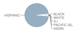 Jefferson Elementary School Student Race Distribution