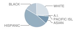 Lincoln Elementary School Student Race Distribution