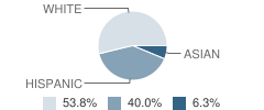 Encinal Elementary School Student Race Distribution