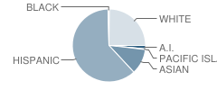 Luther Elementary School Student Race Distribution