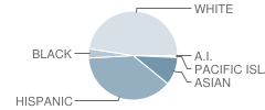 Jackson Avenue Elementary School Student Race Distribution