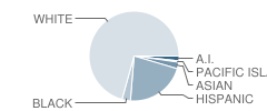 Vineyard Alternative School Student Race Distribution