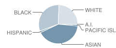 Oakwood Elementary School Student Race Distribution