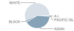 Elkhorn School Student Race Distribution