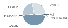 Bear Creek High School Student Race Distribution