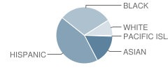 Bryant Elementary School Student Race Distribution