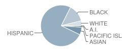 Burbank Elementary School Student Race Distribution