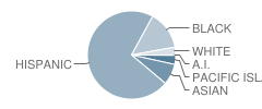 Grant Elementary School Student Race Distribution