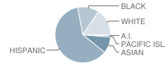 Hill Middle School Student Race Distribution