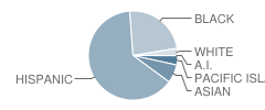 Jordan High School Student Race Distribution