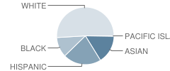 Kettering Elementary School Student Race Distribution