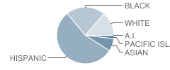 Macarthur Elementary School Student Race Distribution