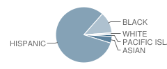 International Elementary School Student Race Distribution