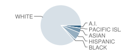 Loomis Elementary School Student Race Distribution