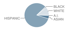 Bertrand Avenue Elementary School Student Race Distribution